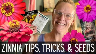 ZINNIAS Tips Tricks amp Seeds 🌸🌸🌸  All About Zinnias  How To Grow Zinnias From Seed [upl. by Yrolg]