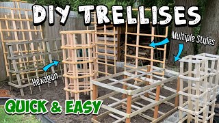 How to Make a Trellis Multiple Options and Skill Levels Full Tutorials amp Quick Walkthroughs [upl. by Aileek]