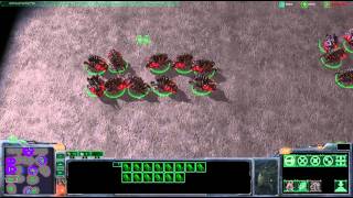 Starcraft 2 Tips amp Tricks 1 [upl. by Enaed]