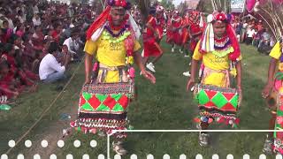 gulariya Kanchanpur ke mungarahwa tharu cultural video nepali tharu dance latest tharu song nach [upl. by Robillard]