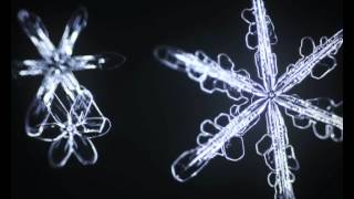 Sixsided snowflakes bloom in slow motion [upl. by Madlen551]