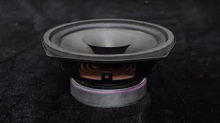 5 inches 8Ohm 25W Full Range Speaker with Ferrite Magnet Motor amp Dual Paper Cone Design [upl. by Ierna]