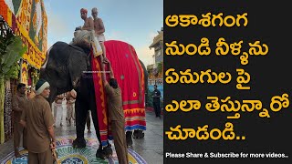 Tirumala Priests Bringing Holy Water From Akasha Ganga Theertham Sitting Atop Elephant [upl. by Bakki]