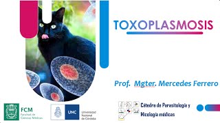 TOXOPLASMOSIS Parte1 [upl. by Lidda]