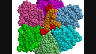 A rotary motion of F1ATPase by a coarsegrained model simulation [upl. by Tillion]