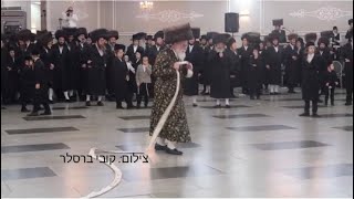 Viznitz Rebbe Dances Mitzvah Tantz [upl. by Grati]