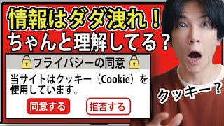 【理解してる？】クッキーCookieへの同意って何？【情報を守れ】 [upl. by Alius743]