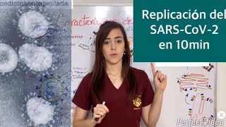 Breve explicación de la replicación del SARSCoV2 causante de COVID19 PARTE II [upl. by Seebeck]