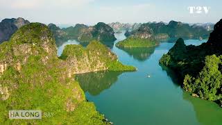 World Wonder Ha Long Bay  Vịnh Hạ Long  Kỳ Quan Độc Nhất Vô Nhị [upl. by Nho621]