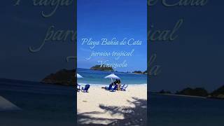 Playa Bahia de Cata paraiso tropical Venezuela flydroneame travel venezuela [upl. by Andrei]