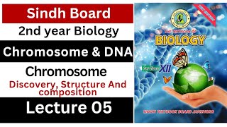 chromosome  chromosome and DNA  class 12 biology Sindh board new book [upl. by Emiline]