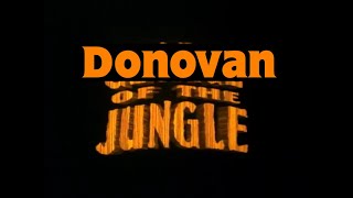 quotDonovan of the Junglequot quotGeorge of the Junglequot Trailer [upl. by Remus]