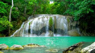 Calming Forest Tropical Waterfalls Relaxing Nature Sounds Waterfall 4k White Noise for Sleeping [upl. by Davena]