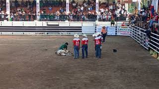 HORSE BACK COMPETITION  RODEO MASBATEÑO [upl. by Ettesel]