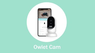 Owlet Camera HD Video Baby Monitor [upl. by Joliet]