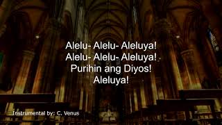 Aleluya Purihin ang Diyos Instrumental [upl. by Noiemad]