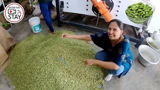 Cardamom Factory Tour in Thekkady Kerala  Dean Dale  Spices at Wholesale rates all India Delivery [upl. by Hahsia]