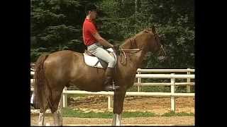 Equitation  Galop 1amp2  Cheval [upl. by Dihsar368]