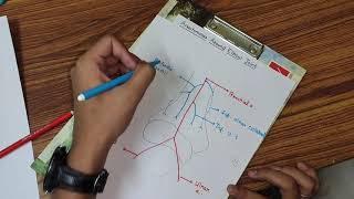 Anastomoses around elbow joint [upl. by Schnorr]