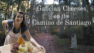 Camino 101 Galician Cheeses on the Camino de Santiago [upl. by Deeann860]