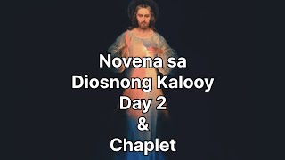 Novena sa Diosnong Kalooy Day 2 Bisaya  Chaplet [upl. by Vincents]