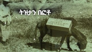 ትዝታችን በኢቢኤስ ትዝታን በፎቶ በወመዘክርTezetachen Be ebs Se 12 Ep 6 [upl. by Neeroc]