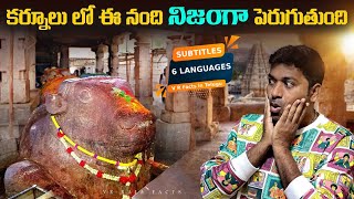 Kurnool Temple Yaganti Nandi Growing   Temples  Top 10 Interesting Facts In Telugu  V R Facts [upl. by Jethro504]