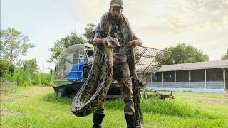 Man known as Python Cowboy catches possible recordbreaking snake [upl. by Atrebla432]