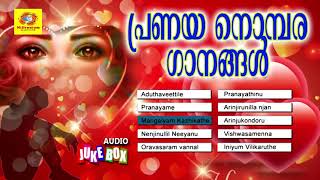 പ്രണയ നൊമ്പര ഗാനങ്ങൾ  Pranayanobara Ganangal  Malayalam Pranaya Ganangal [upl. by Arym95]