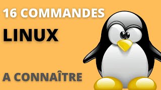 16 commandes LINUX à connaitre absolument [upl. by Kentigera]