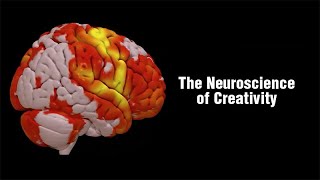 The Neuroscience of Creativity [upl. by Alket]