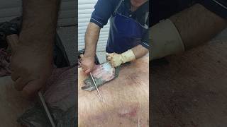 How to Take the Skin off Flounder  How To Fillet Flounder fishcuting [upl. by Laamak]