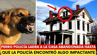 Policía descubre secreto increíble en casa abandonada  Historia Conmovedora [upl. by Lekcim]