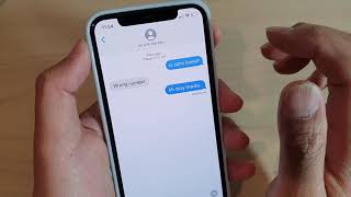 iPhone 11 Pro How to Know if SMS Text Message Has Been Delivered and View the Timeline [upl. by Nahtanaoj]