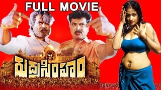 Rudra Simham Telugu Full Movie  Sarathkumar Kiran Rathod  V9videos [upl. by Yniffit]