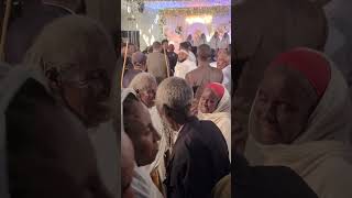 ወናማት ወለዲ ኣብ መርዓ tsigabuteshlewedding ethiopian habesha tigrignadanceeritrean foryou viral [upl. by Eilsehc]