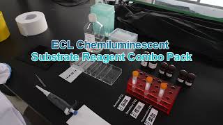 ECL Chemiluminescent Substrate Reagent Combo Pack G2161 [upl. by Lhok]