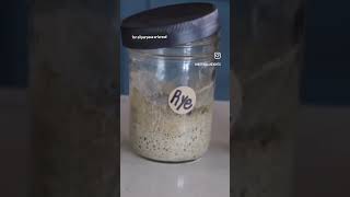 Have you tried making a Rye Starter Tap amp Hold for more sourdough homesteading [upl. by Laurene228]