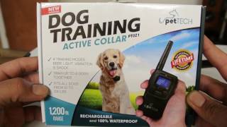 PETTECH TRAINING COLLAR [upl. by Ethyl]