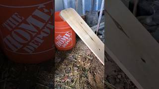 Effective Mouse Trap DIY Bucket Method [upl. by Oinotnaesoj]