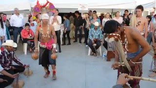 Danza del Venado y Paskola Tribu Yaqui ITESCA Vícam [upl. by Nylinnej]