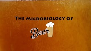 The Microbiology of Beer  Microbes After Hours [upl. by Okajima]