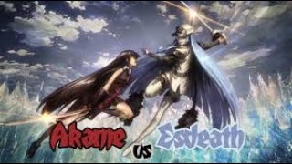 Akame vs Esdeath [upl. by Halian]