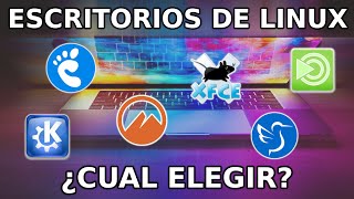 🐧 Entornos de Escritorio en LINUX ¿Cual elegir según el USUARIO [upl. by Dalston]