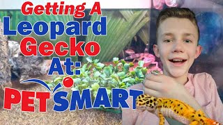 Getting a Leopard Gecko at PetSmart [upl. by Beatrice458]