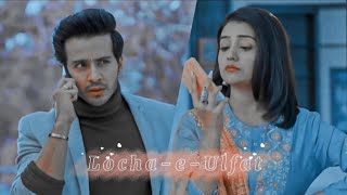 LochaeUlfat⚡FT IshQaan❤️ Ishq Par Zor Nahi💕 Param Singh🔥 Akshita Mudgal🌼 shorts ipzn [upl. by Whitten3]