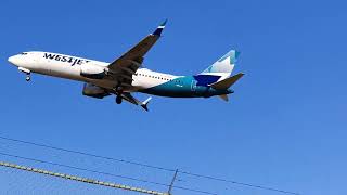 planes landing pearson airport NOV 18 2024 TORONTO CANADA [upl. by Danby]