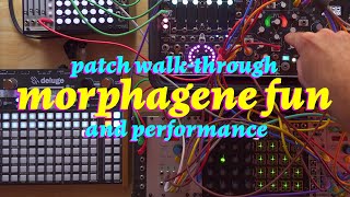 Custom Morphagene Reels Patch Walkthrough and Performance [upl. by Ajaj]