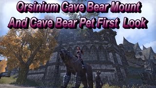 ESO First Look at the Cave Bear Mount and Pet Cub [upl. by Ewall127]