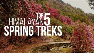 The Top 5 Himalayan Spring Treks You Must Do  Trek Pro Tips With Neha  Indiahikes [upl. by Fisch]